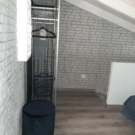 5***** Loft Historical Center 楼尔