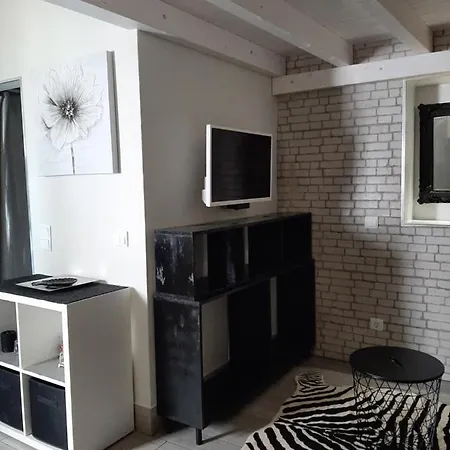 5***** Loft Historical Center Loule
